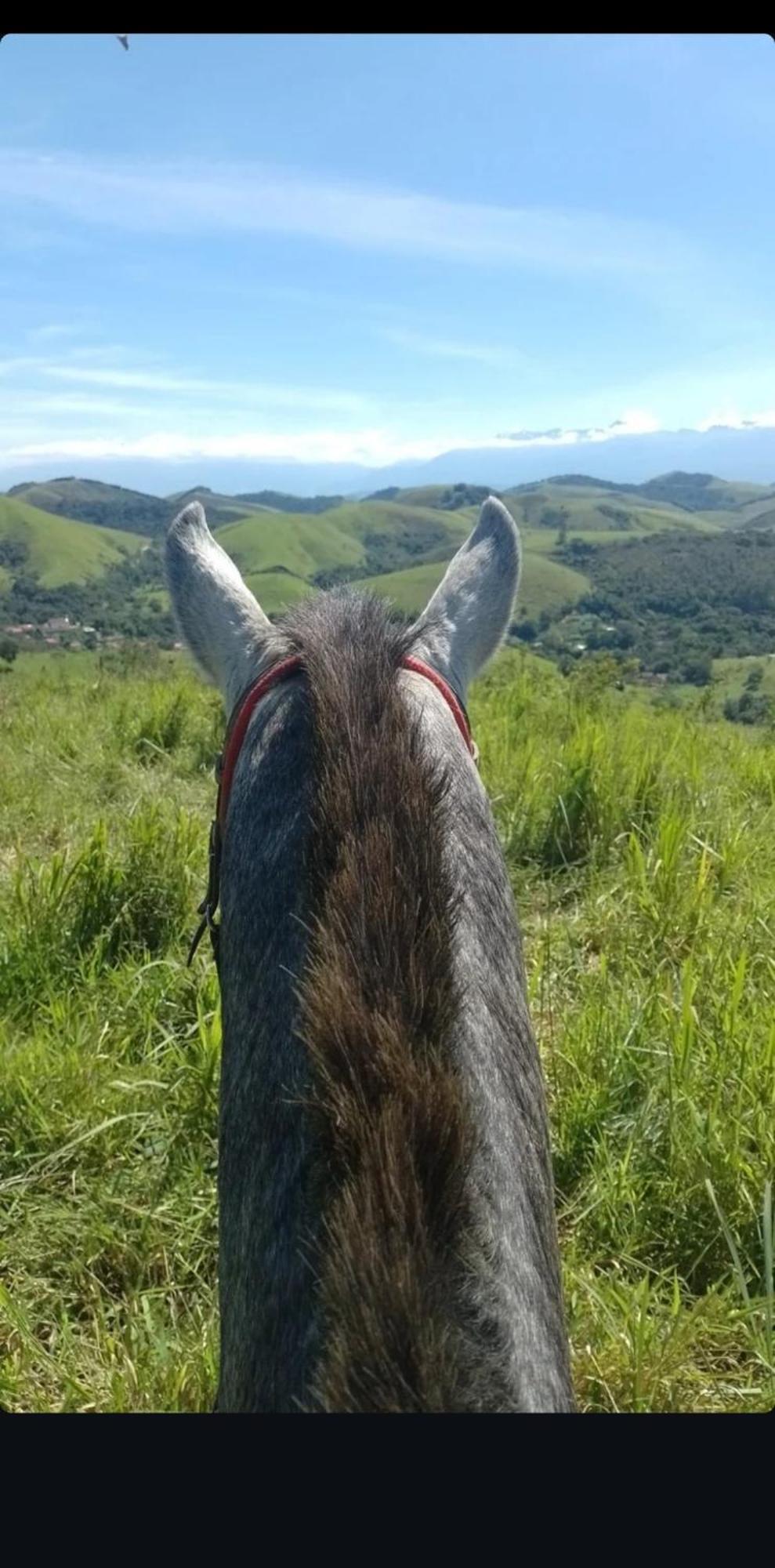Pousada Sitio Monte Sinai São José do Barreiro Eksteriør billede