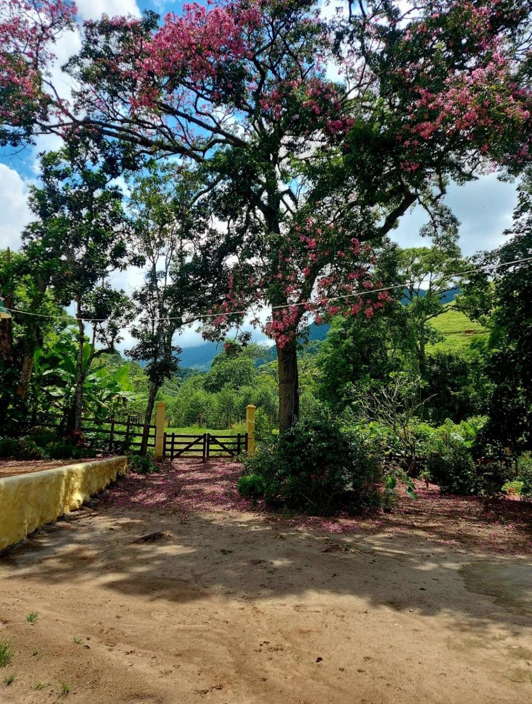 Pousada Sitio Monte Sinai São José do Barreiro Eksteriør billede